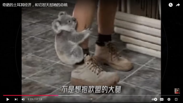 小考拉抱腿3